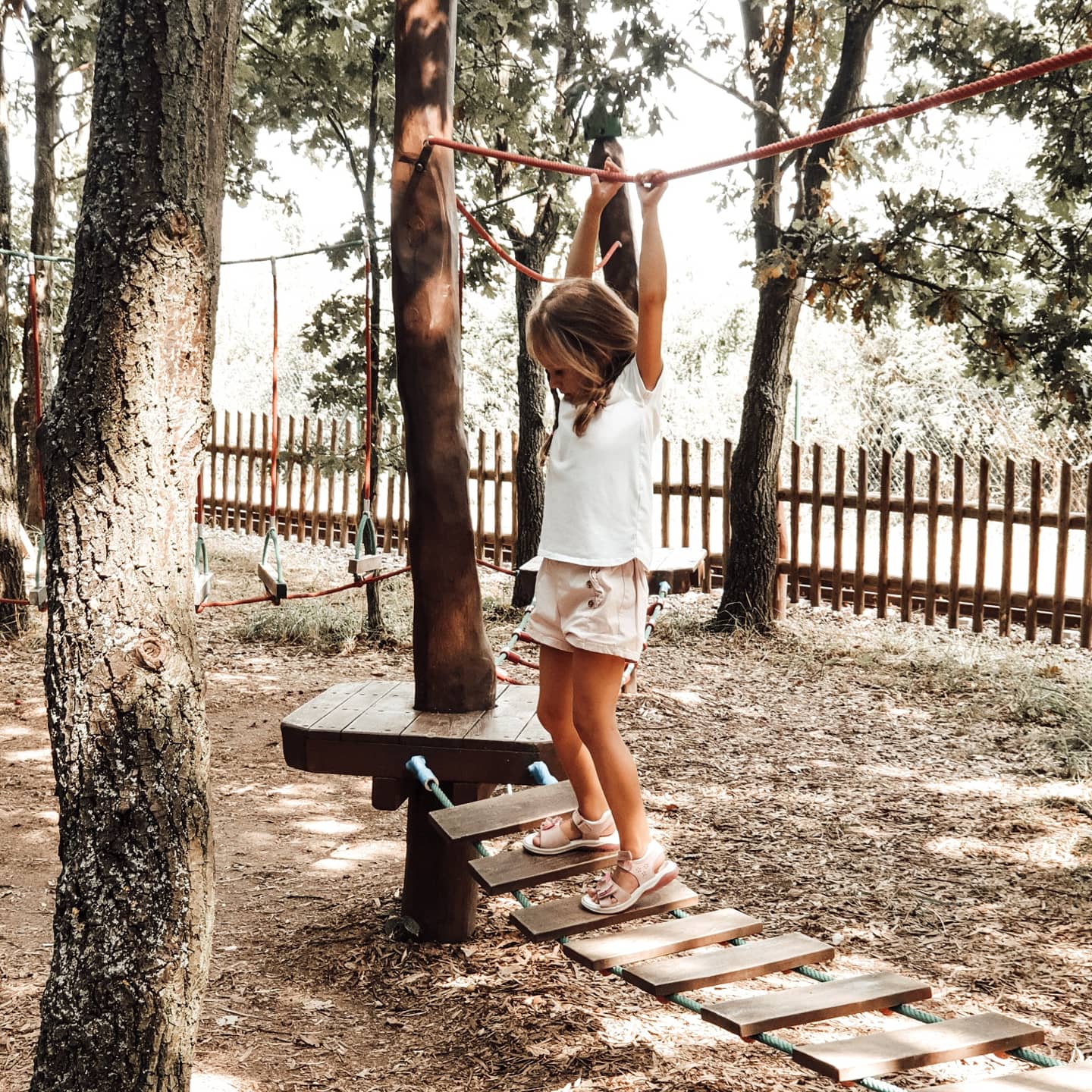 Fajnpark Chlumec - lanová stezka lesem Fajnpark Chlumec - lanová stezka lesem