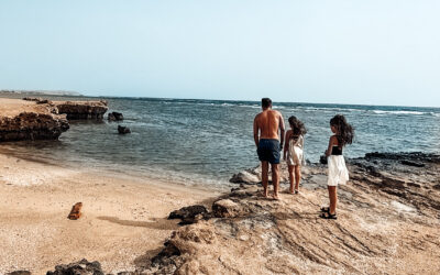 Jaz Amara Elite – Marsa Alam